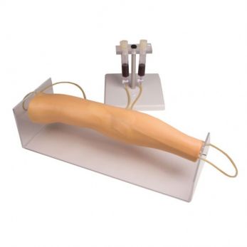 Erler Zimmer Training Arm for Intravenous Injection