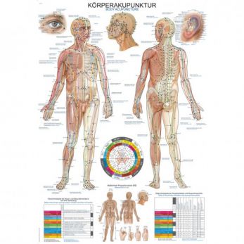 Body Acupuncture - Small Poster