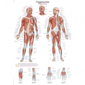 Trigger Points - Small Poster
