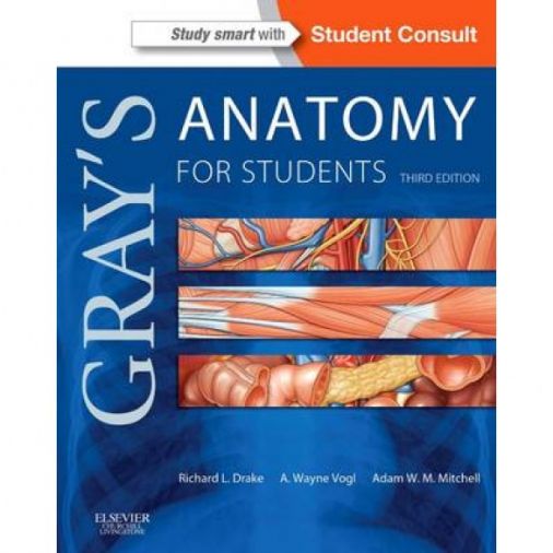 Gray's Anatomy for Students - 3rd Edition 