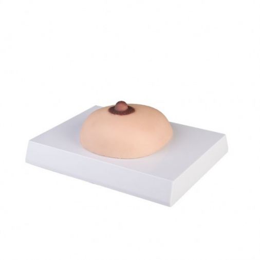 Breast Cancer Palpation Model