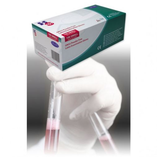 Latex Powder Free Gloves - Large x 100